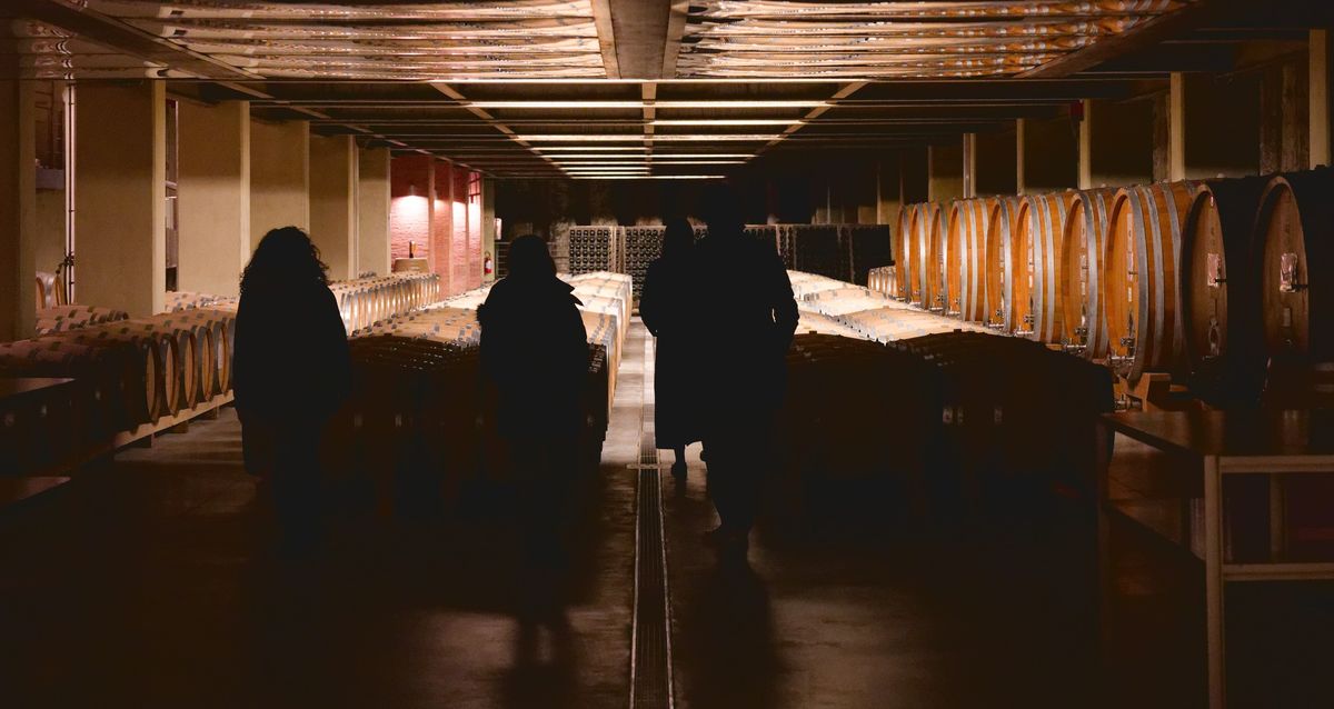 Cellar Silhouettes