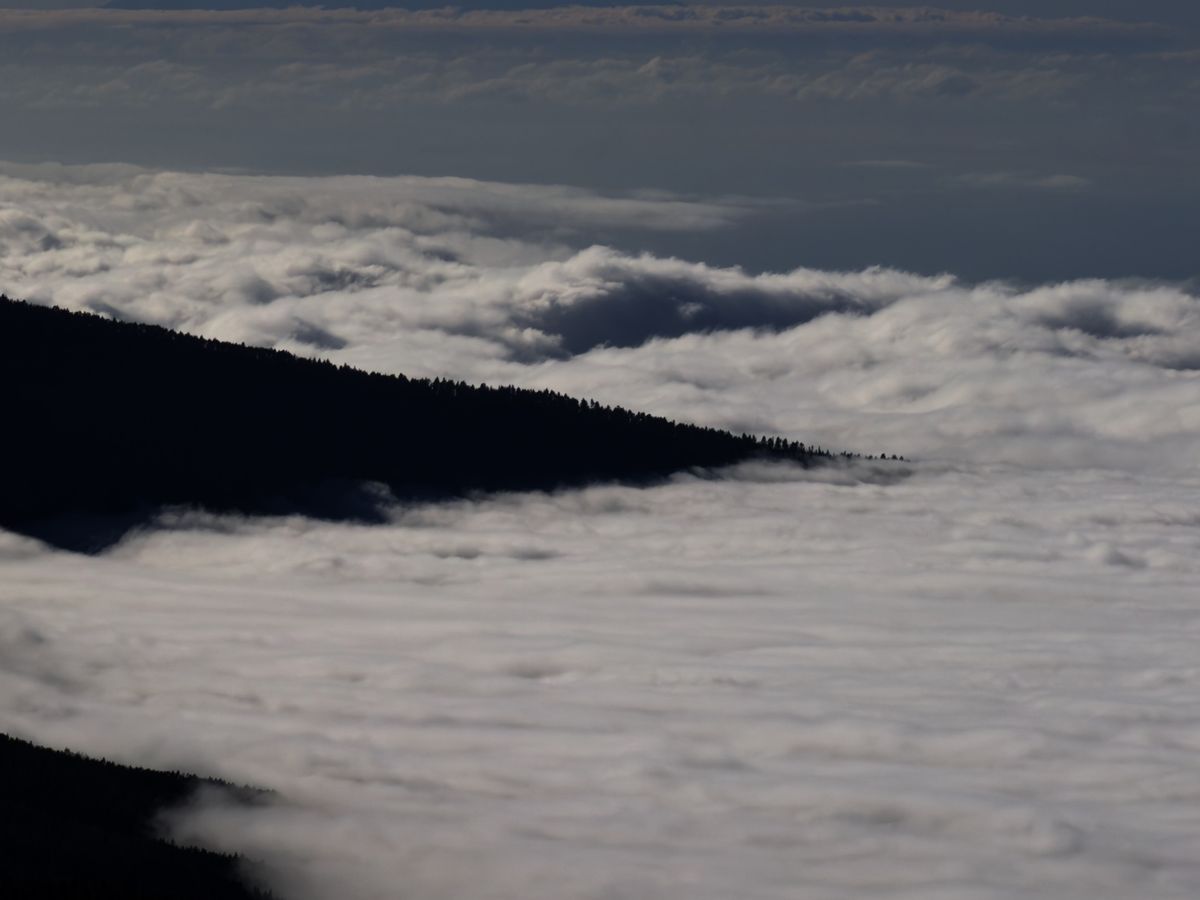 Cloud Sea